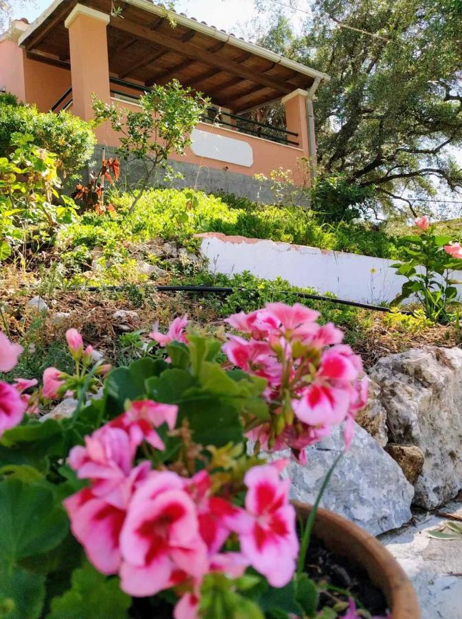 Villa Stefanos Apartments By Hotelius Glyfa Extérieur photo